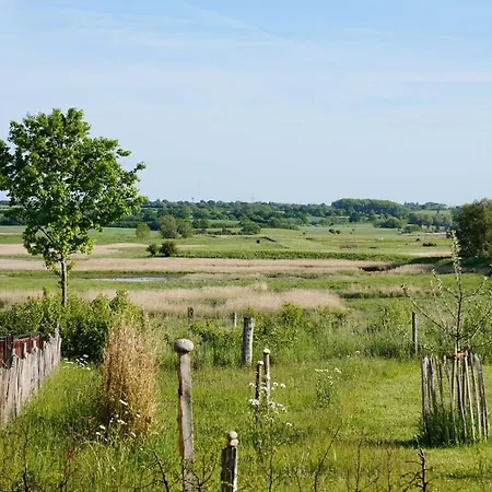 Wiede Luecht Comfortable Feriehus
