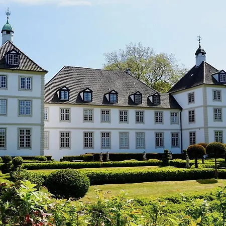 Wiede Luecht Comfortable *