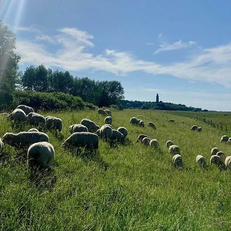Feriehus Wiede Luecht Comfortable Hohwacht
