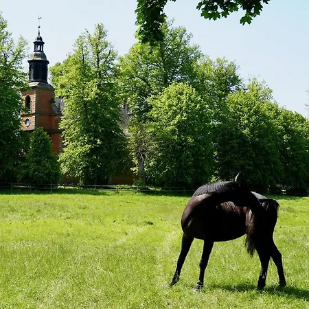 Feriehus Wiede Luecht Comfortable
